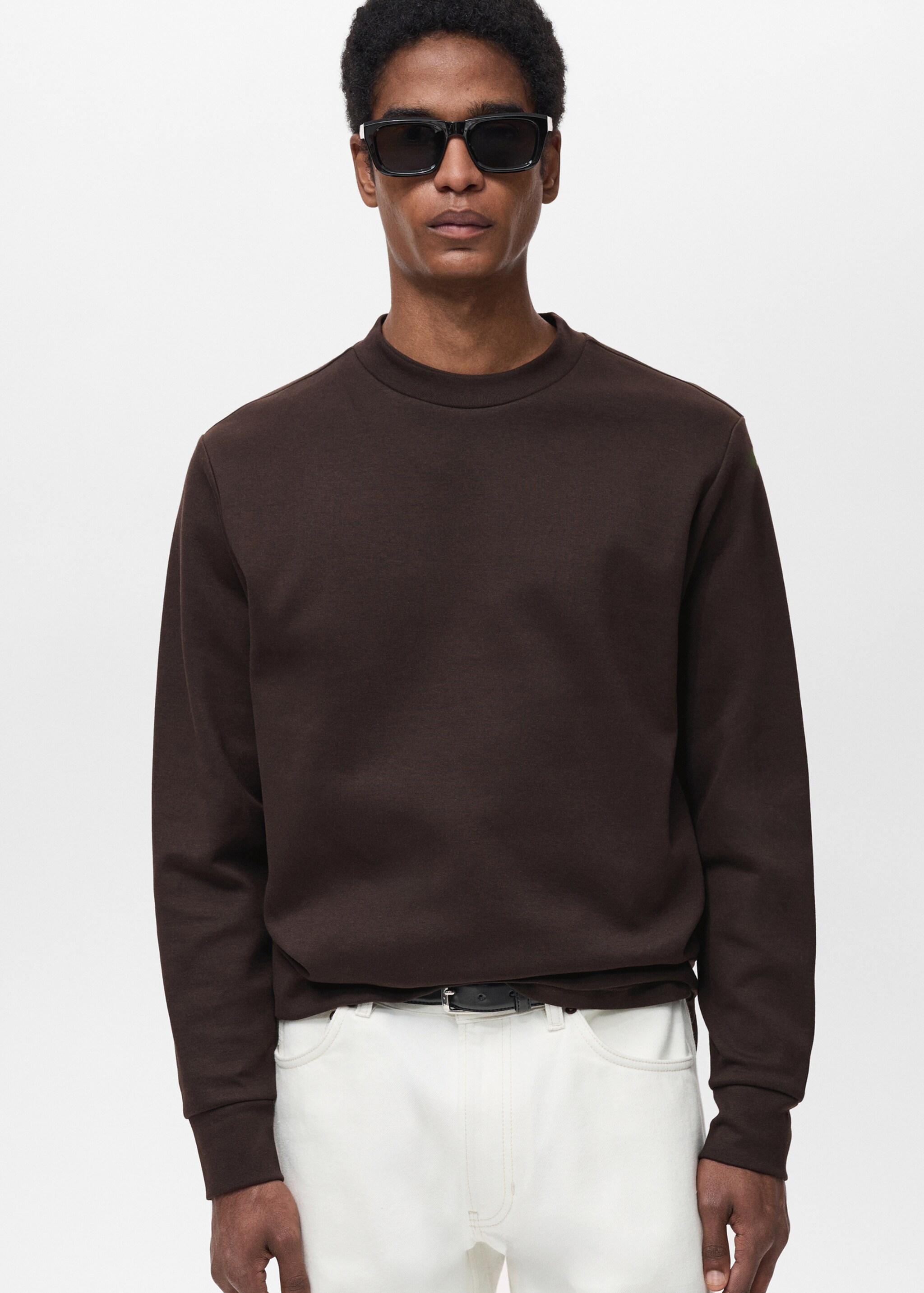 Regular-fit cotton sweatshirt - Medium plane