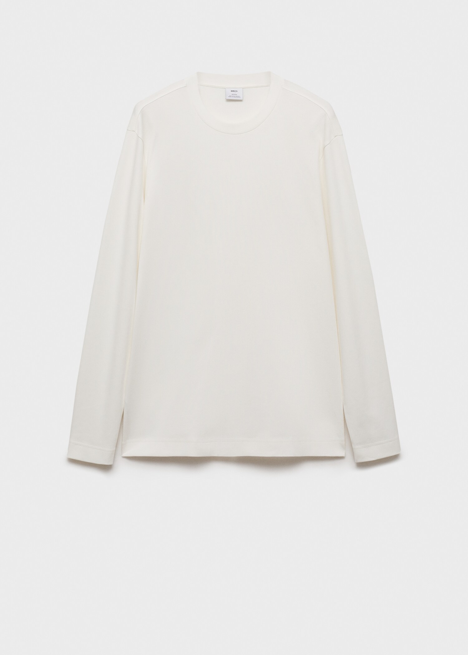 Long sleeve regular fit T-shirt - Article without model