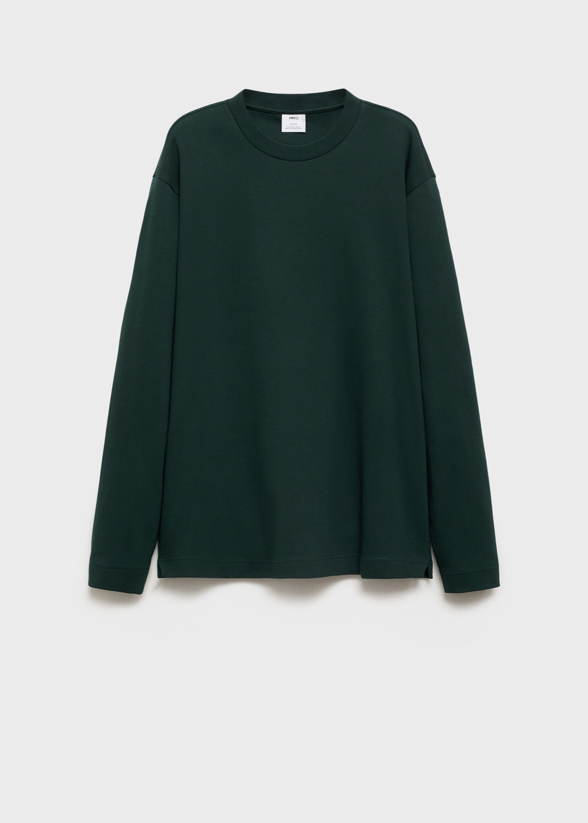 Long sleeve regular fit T-shirt - Article without model