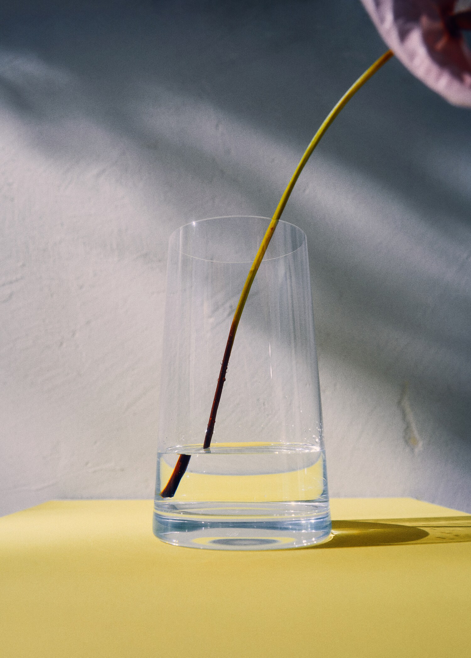 Medium conical crystal vase - Details of the article 6