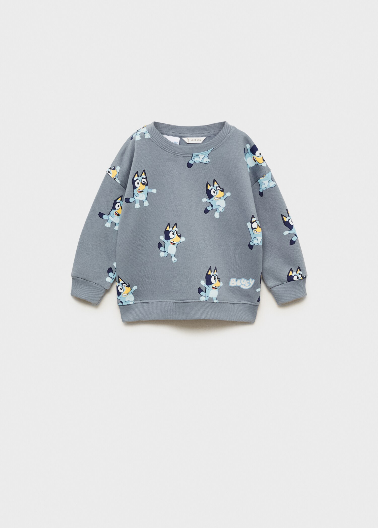 Sudadera estampado Bluey - Artículo sin modelo