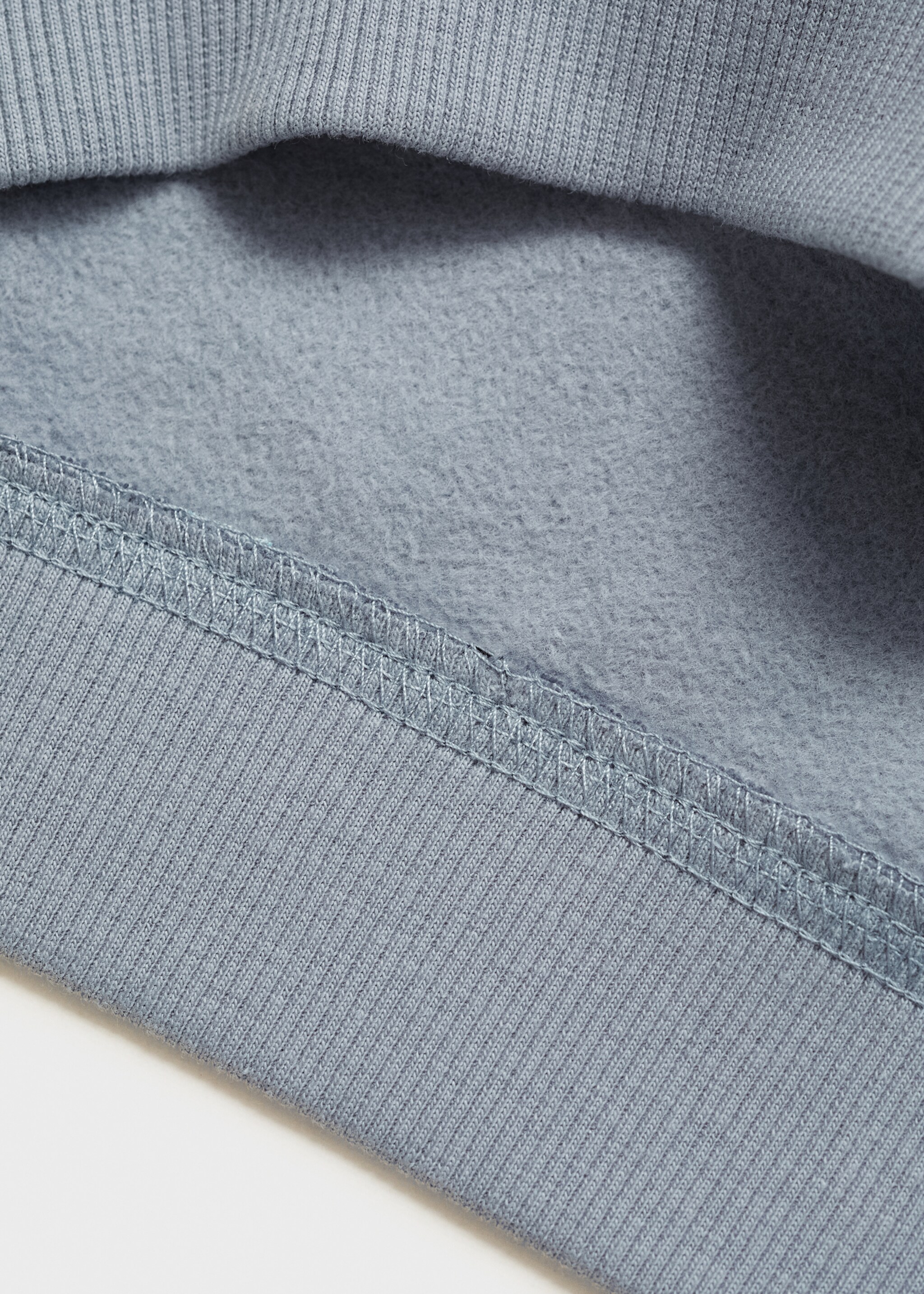 Sudadera estampado Bluey - Detalle del artículo 0