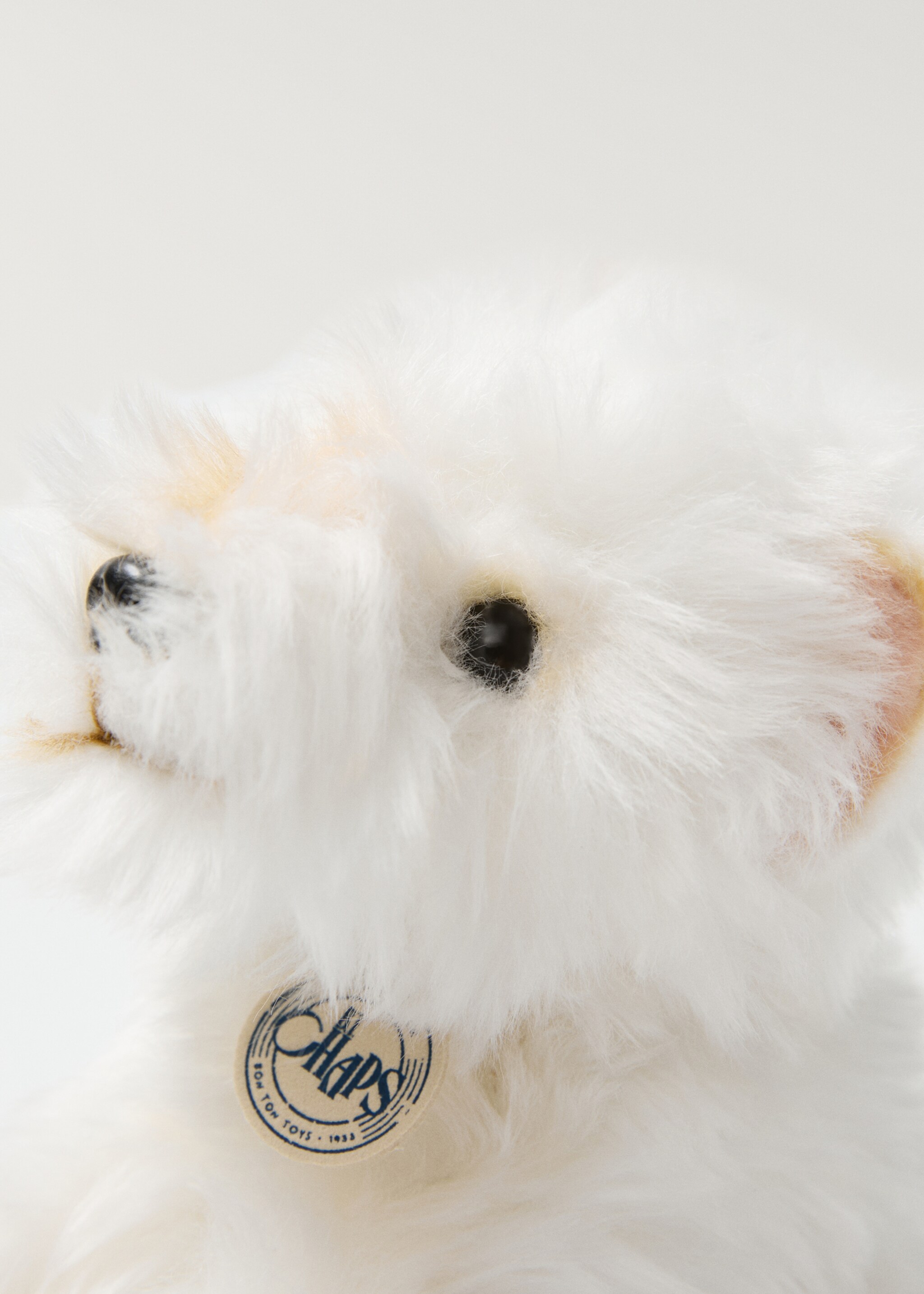 Timothy stuffed dog - Details of the article 2