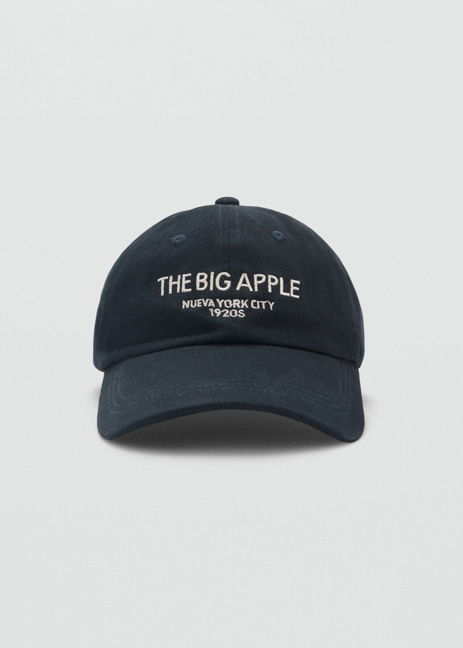 Embroidered canvas cap - Medium plane