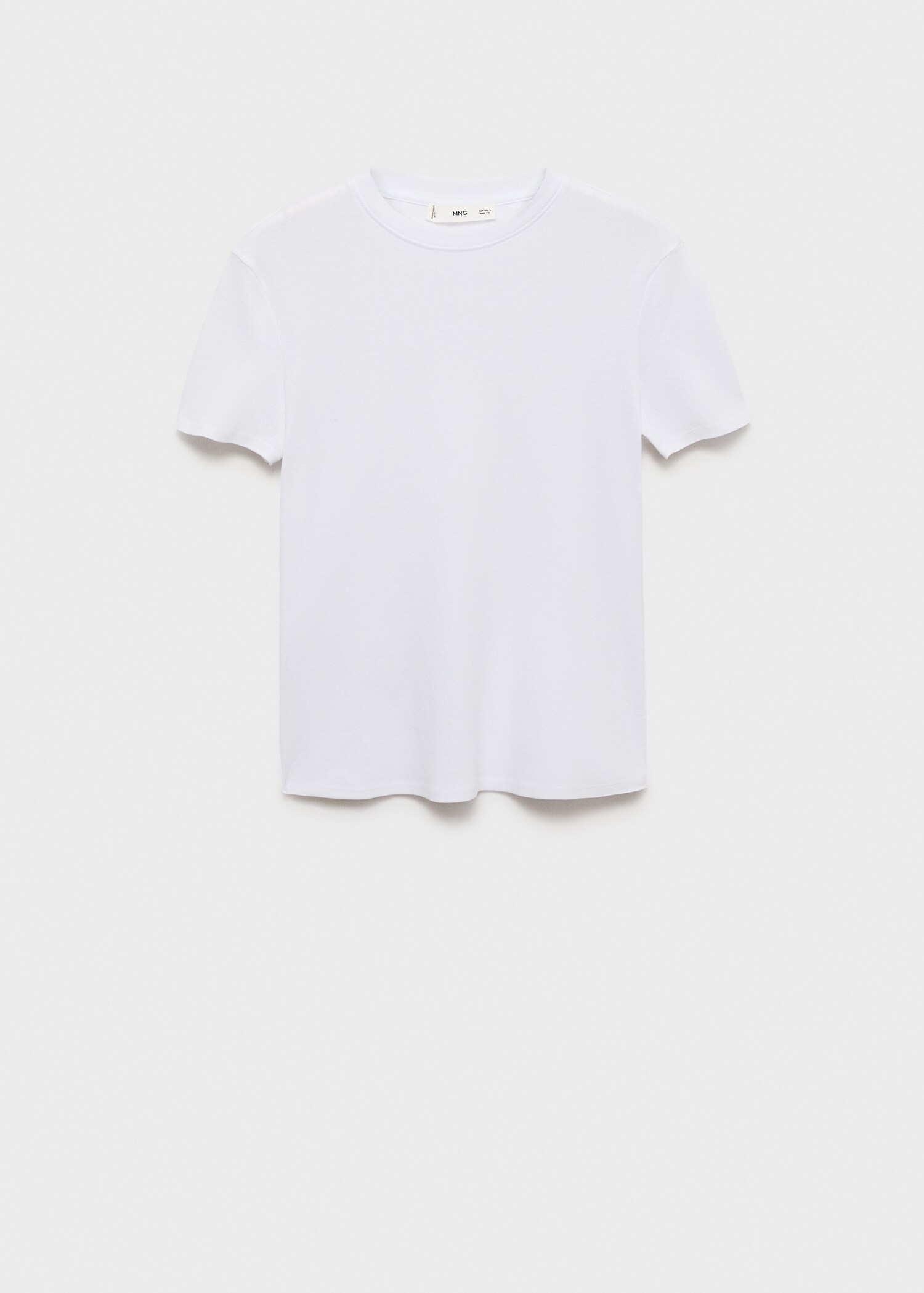 Fitted cotton t-shirt - Article without model