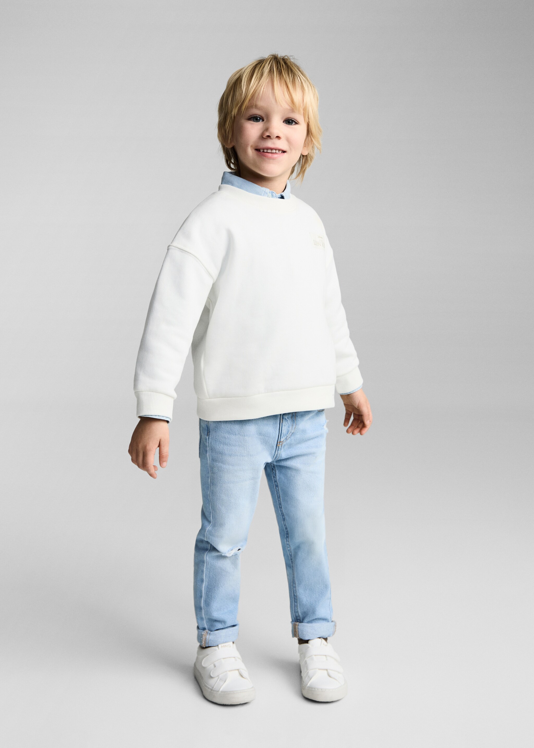 Lion King sweatshirt - General plane