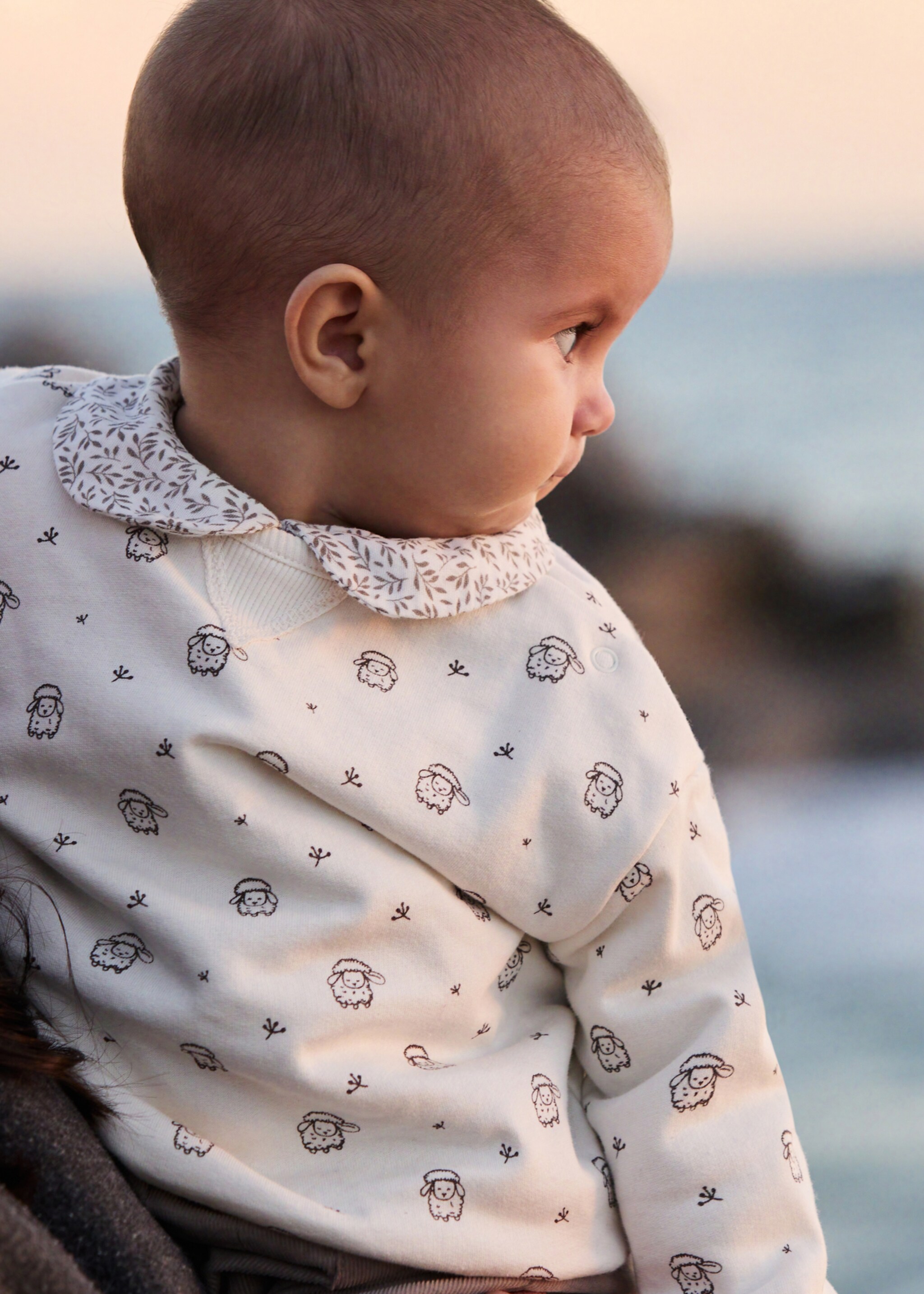 Sudadera algodón estampada - Plano general