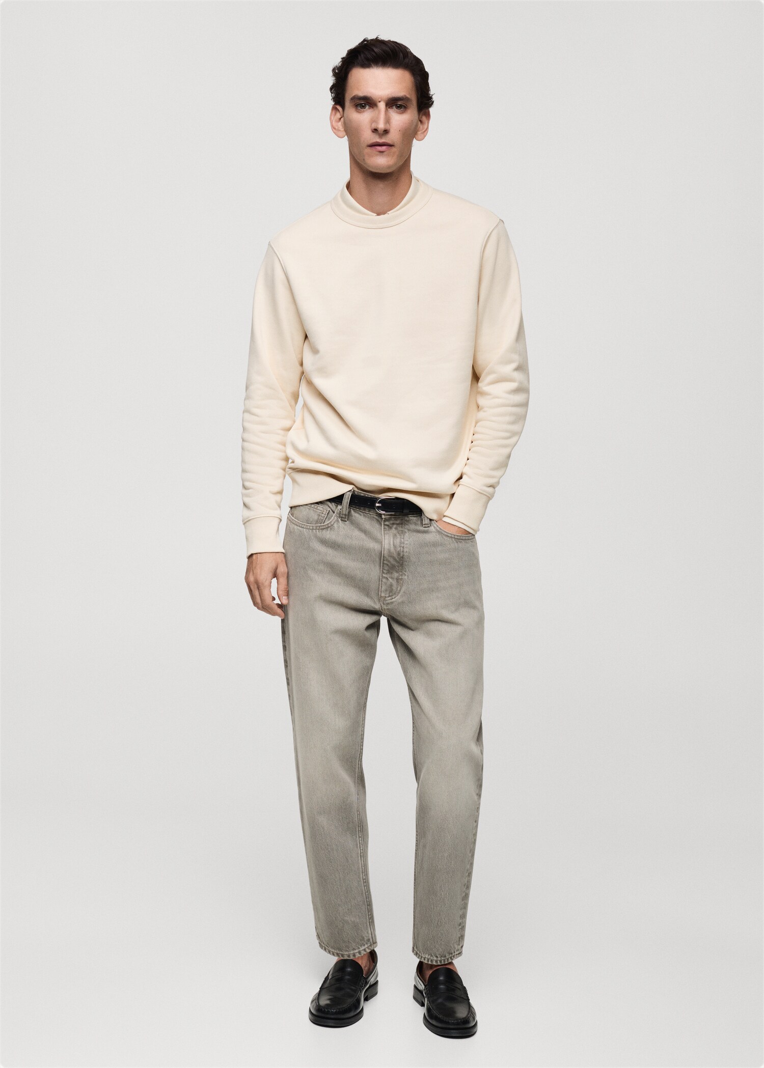 Regular-fit cotton sweatshirt - General plane