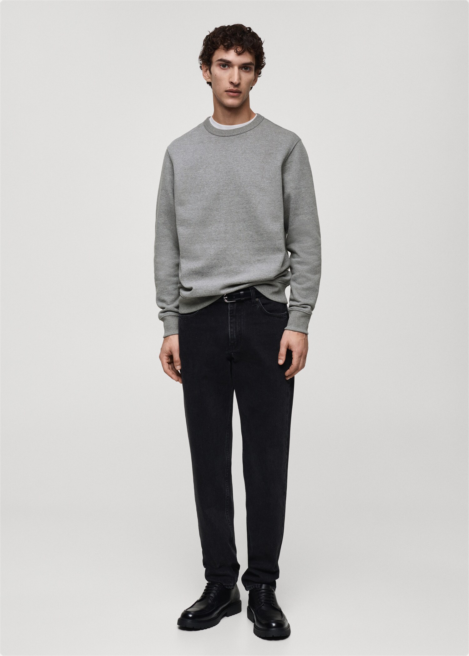 Regular-fit cotton sweatshirt - General plane