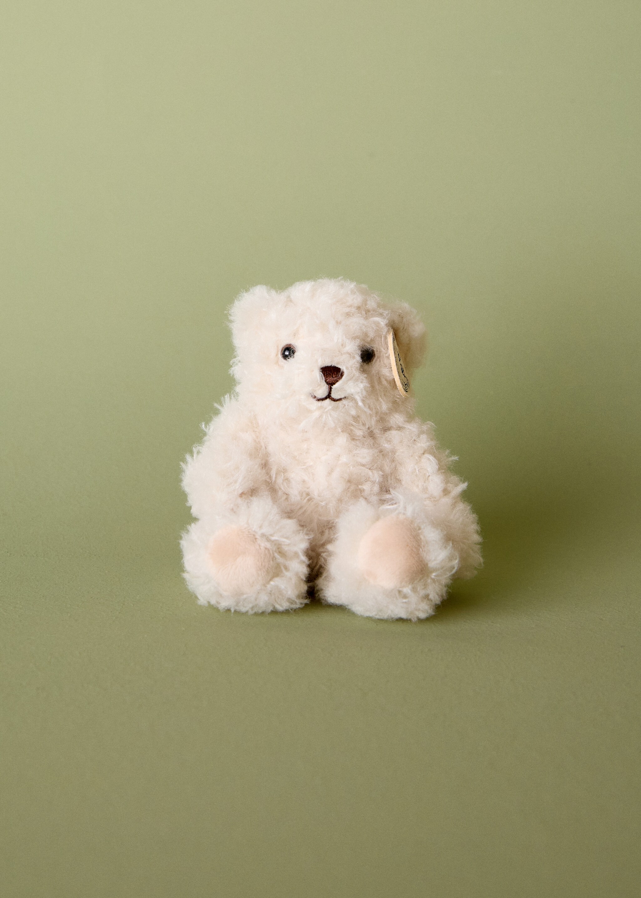 Mini-Teddybär Walter - Allgemeine Ansicht