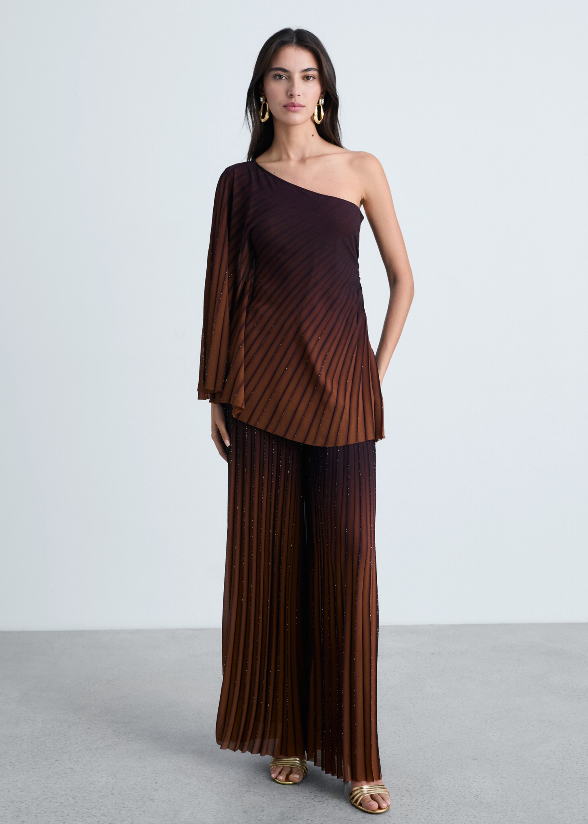 Pleated trousers with a shiny finish - General plane