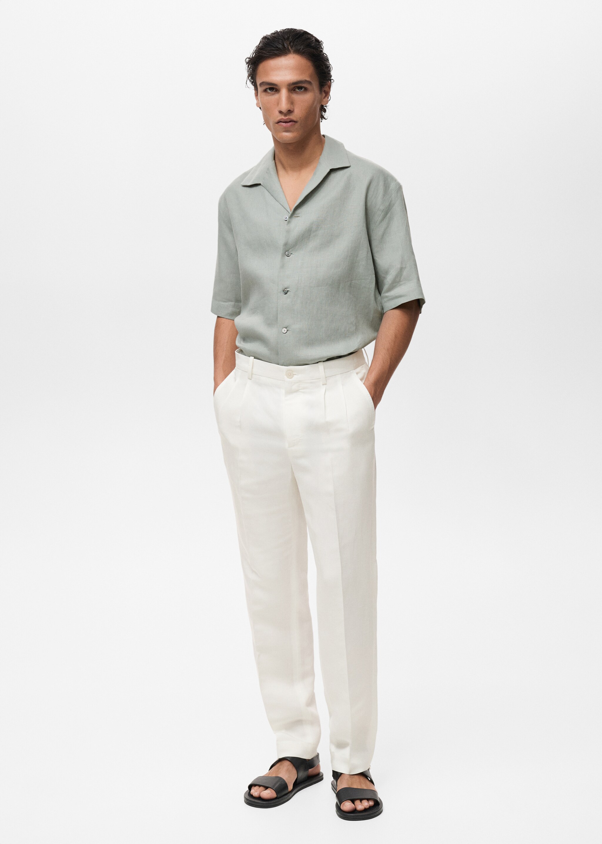 Linen-blend pleated trousers - General plane