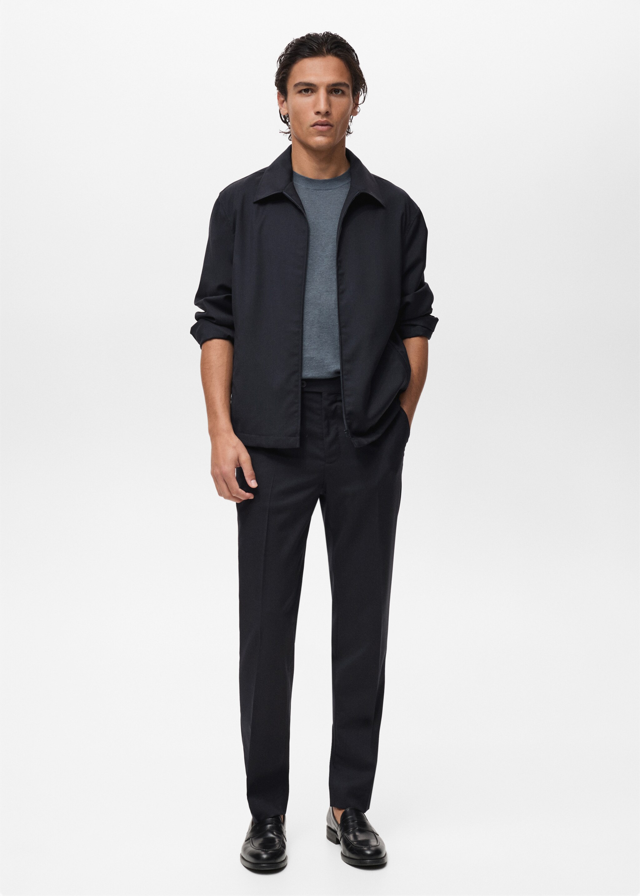 Cold wool slim-fit trousers - General plane