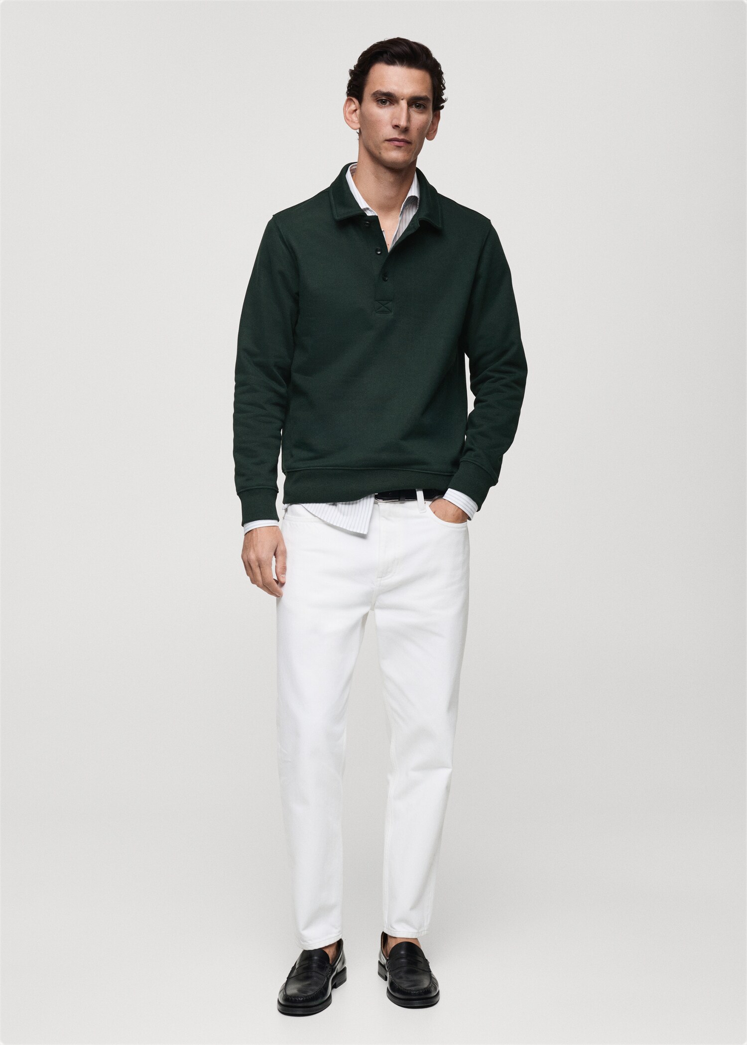 Brushed regular-fit polo sweatshirt - General plane
