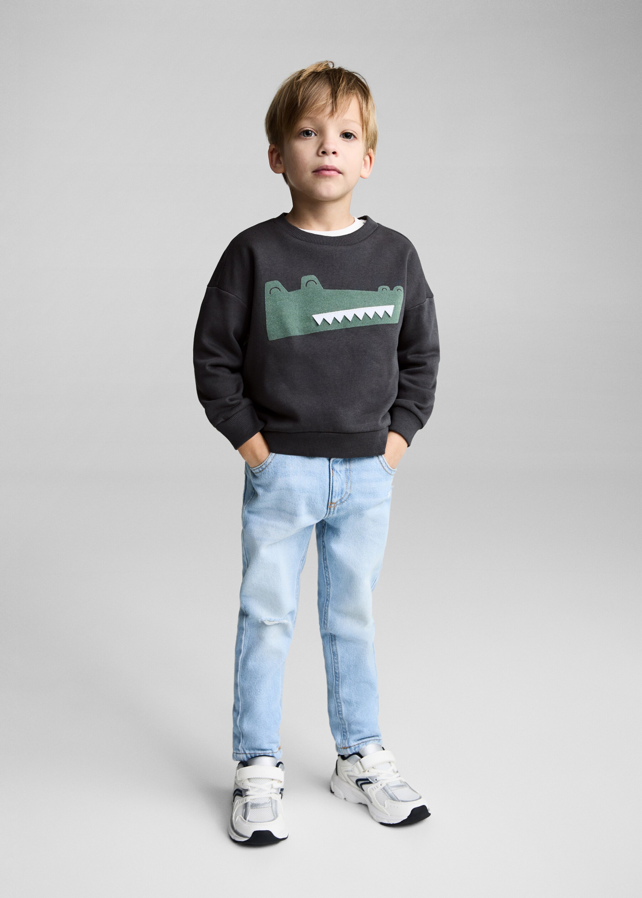 Printed picture sweatshirt - General plane