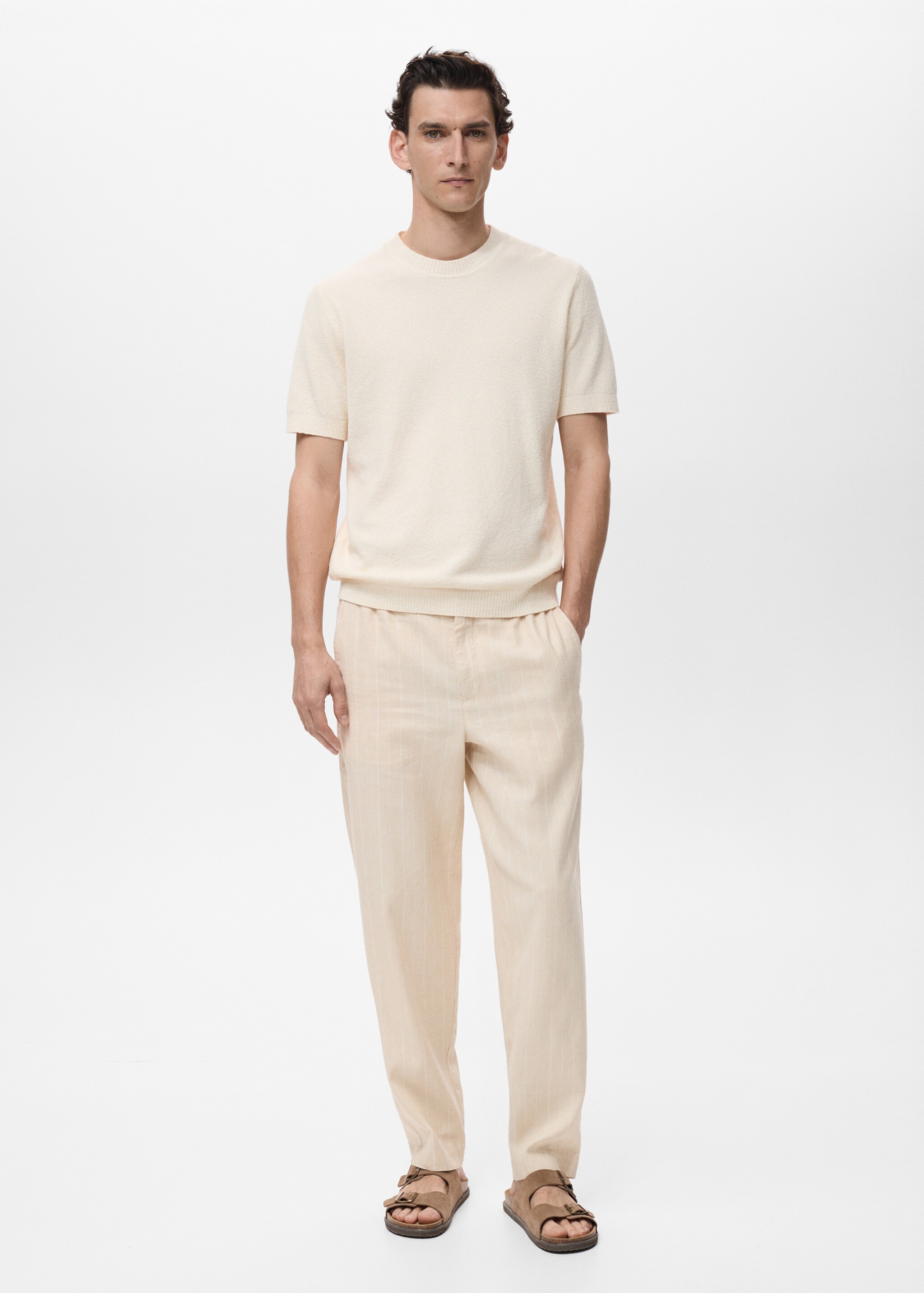 Pinstripe linen trousers - General plane