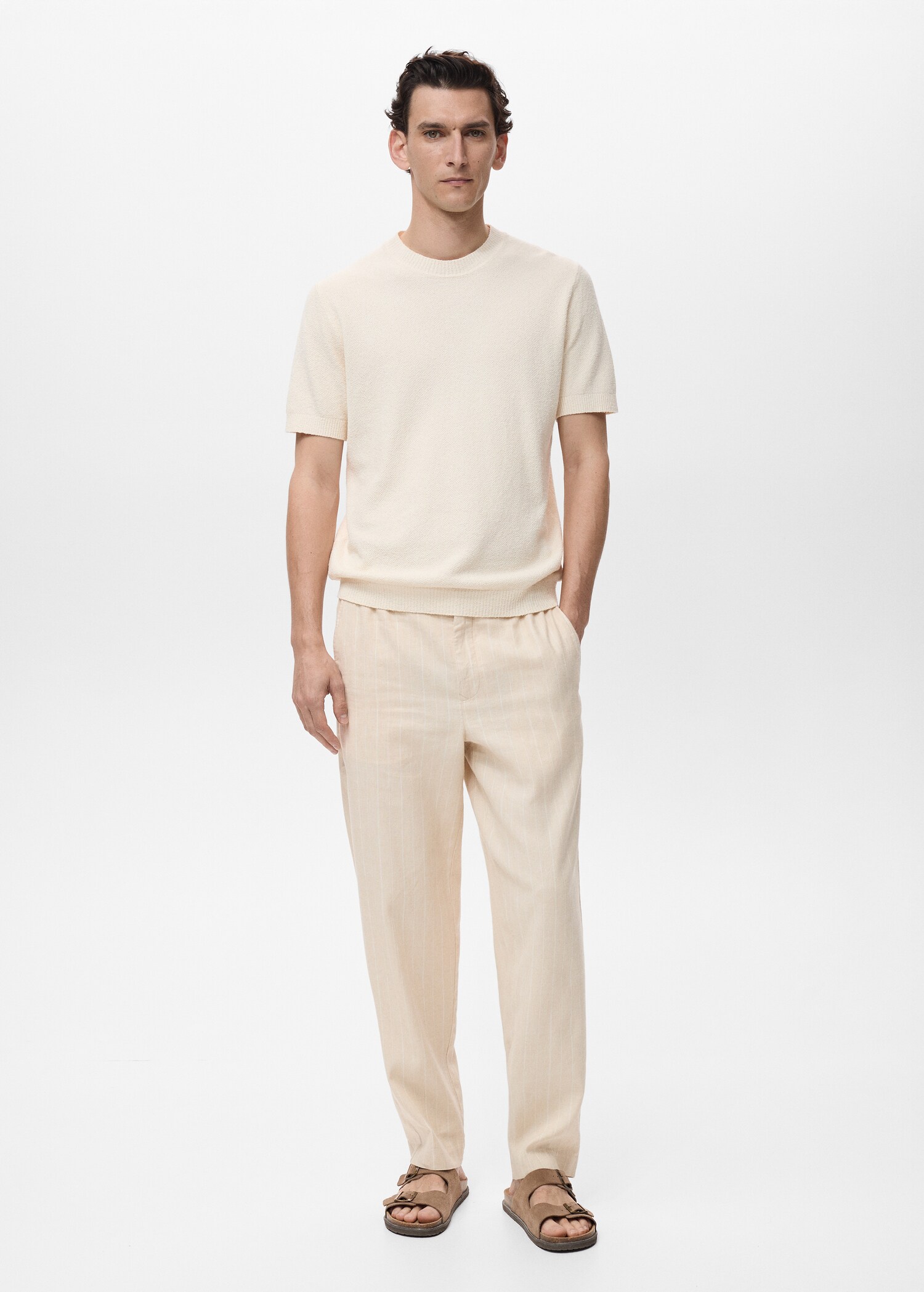 Pinstripe linen pants - General plane