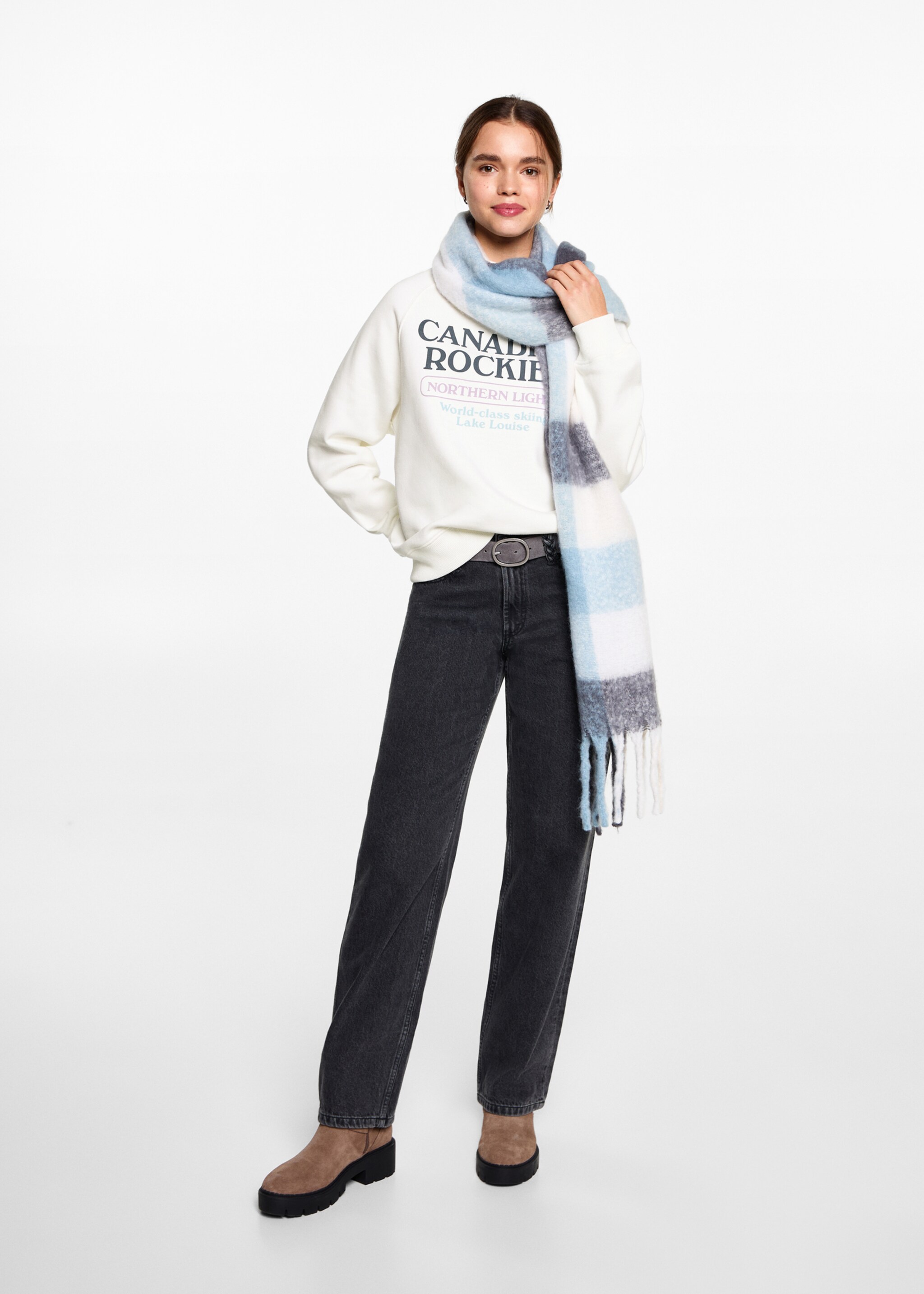 Printed message sweatshirt - General plane