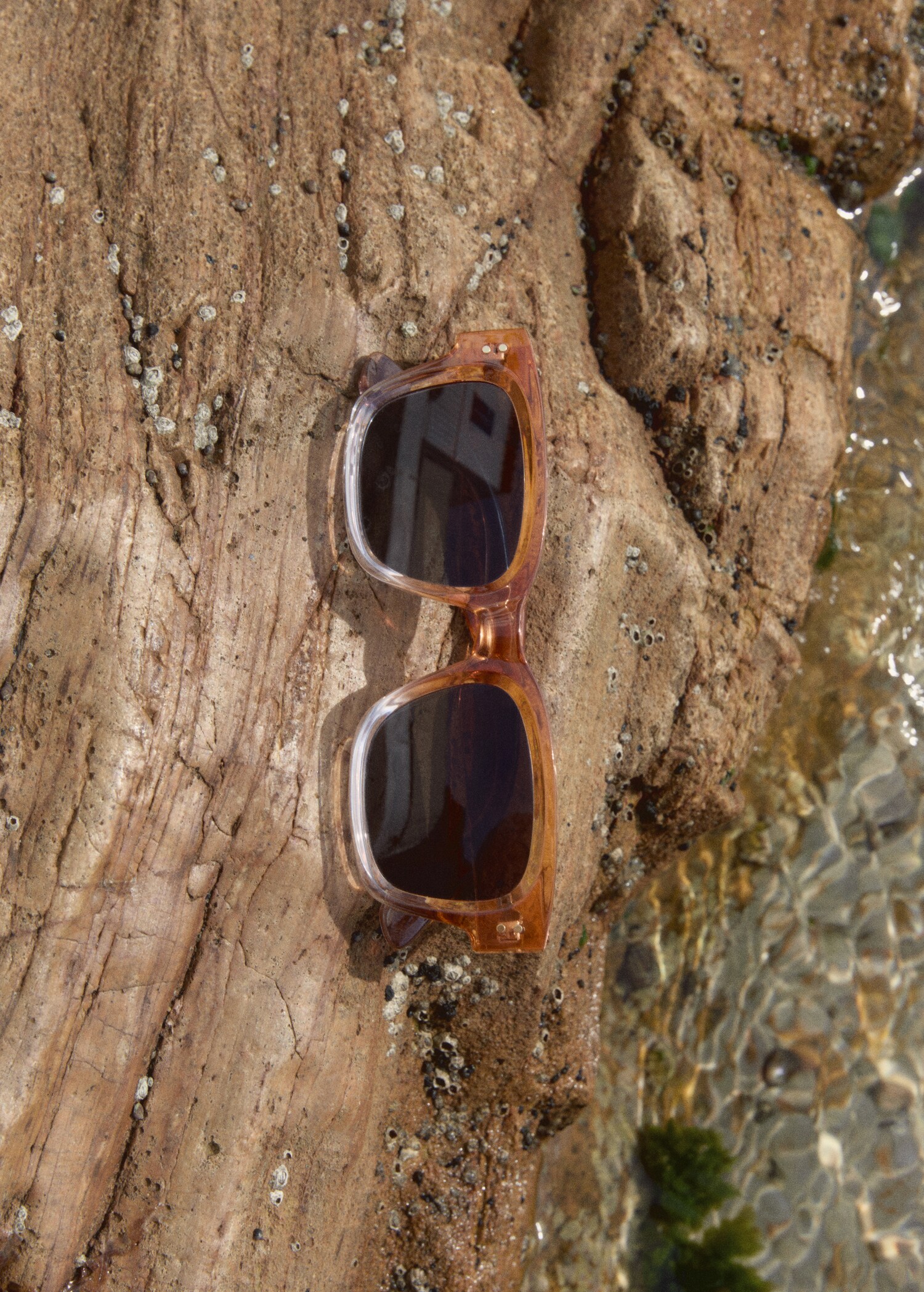 Gafas de sol montura degradada - Plano general