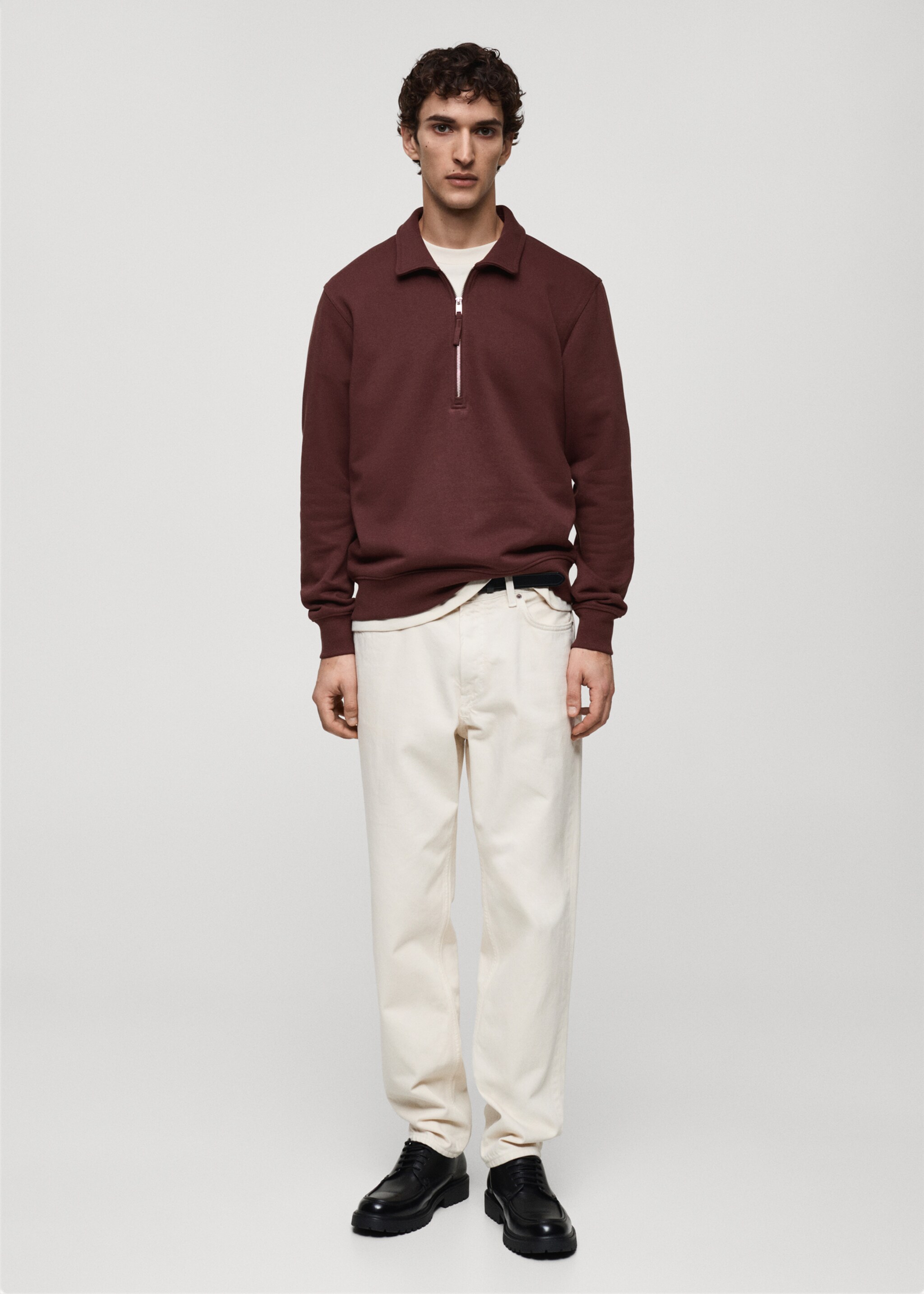 Sudadera polo algodón regular fit - Plano general