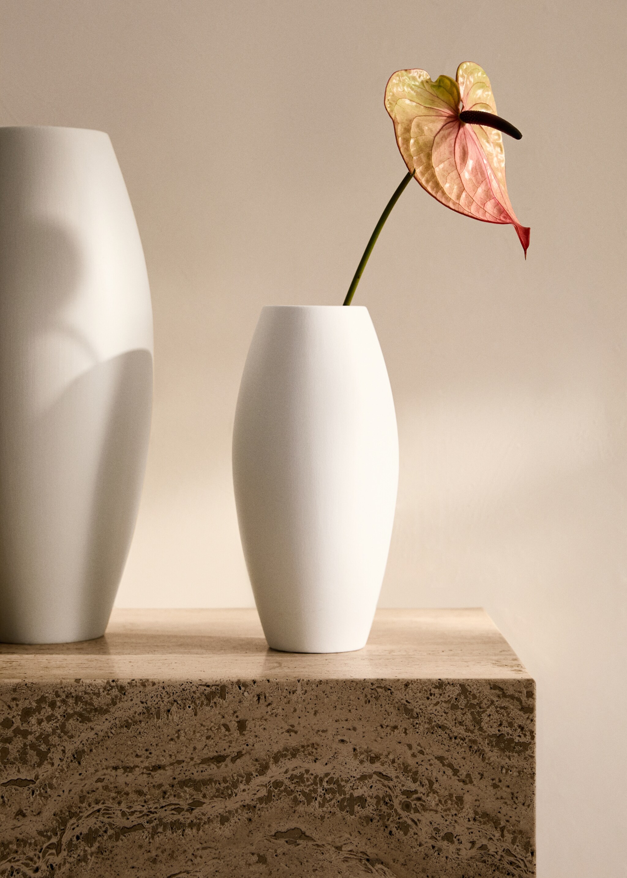Small oval earthenware vase - General plane