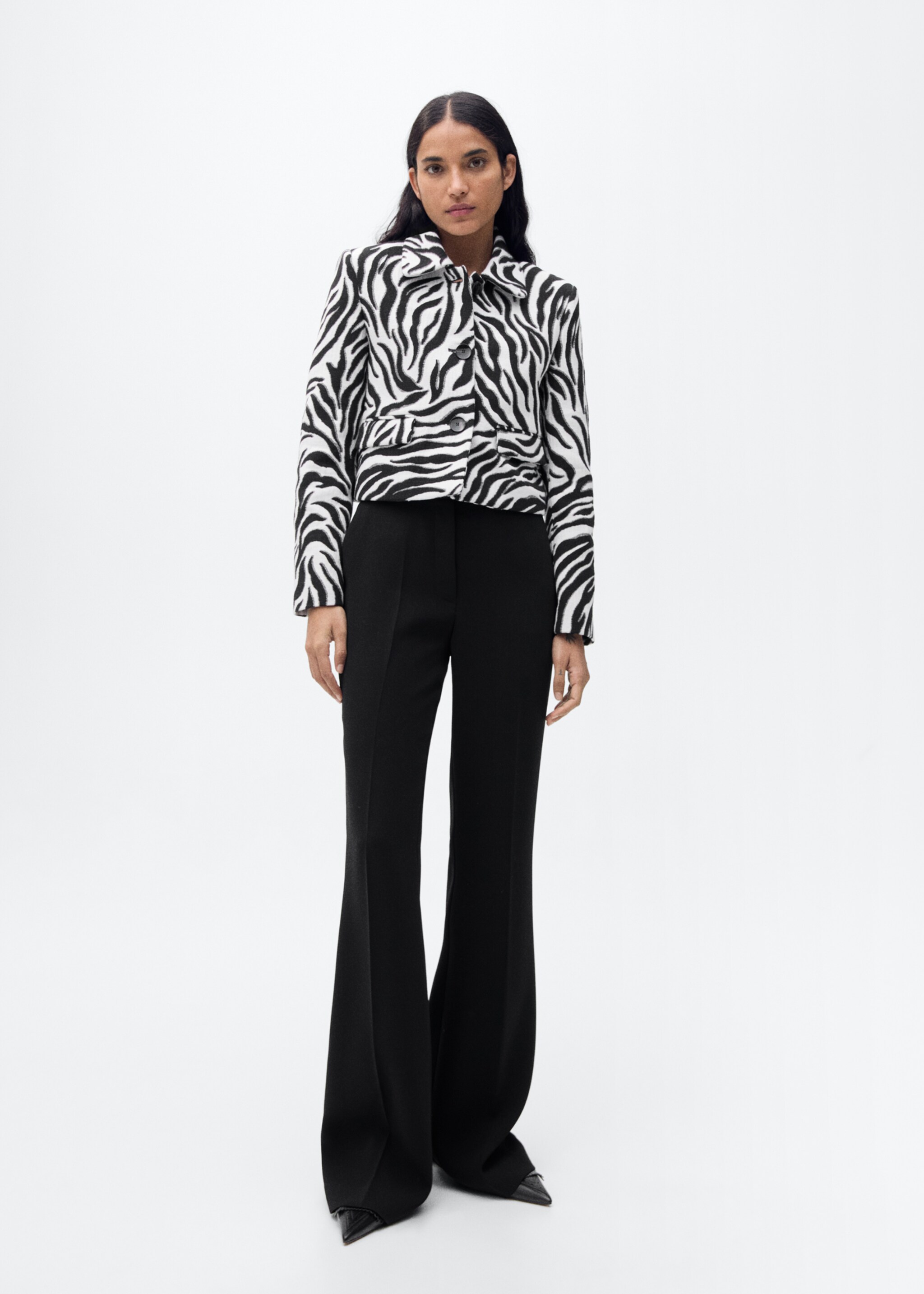 Zebra-print jacket with buttons - General plane