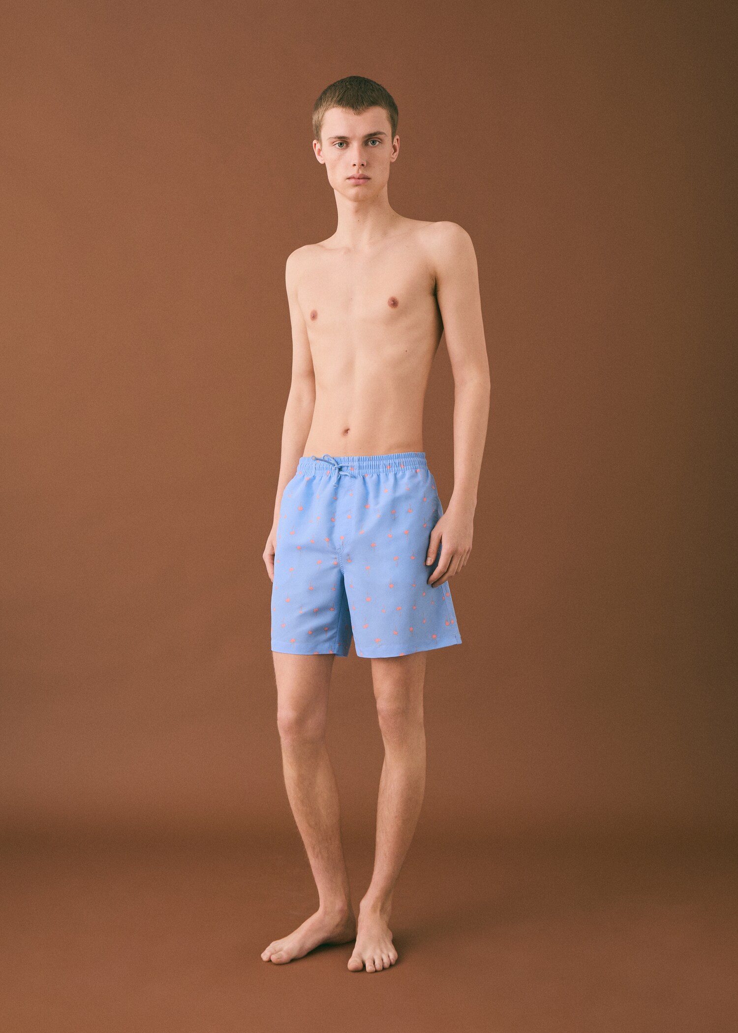 Palm trees print swimsuit trunks - General plane