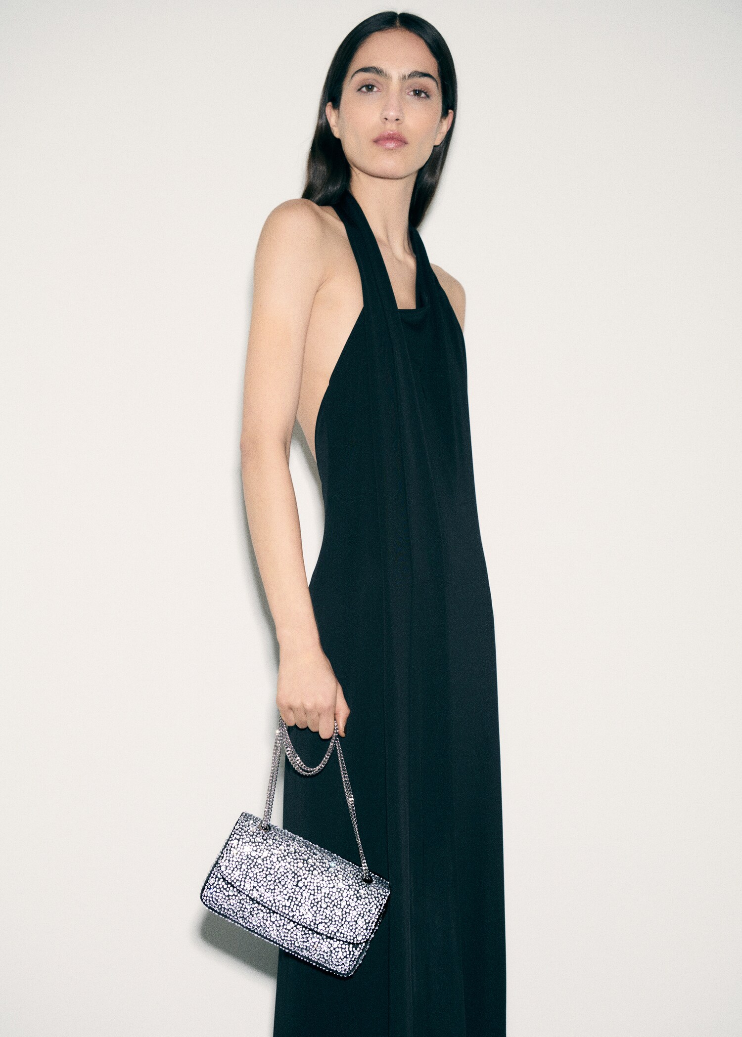 Crystal flap bag - General plane