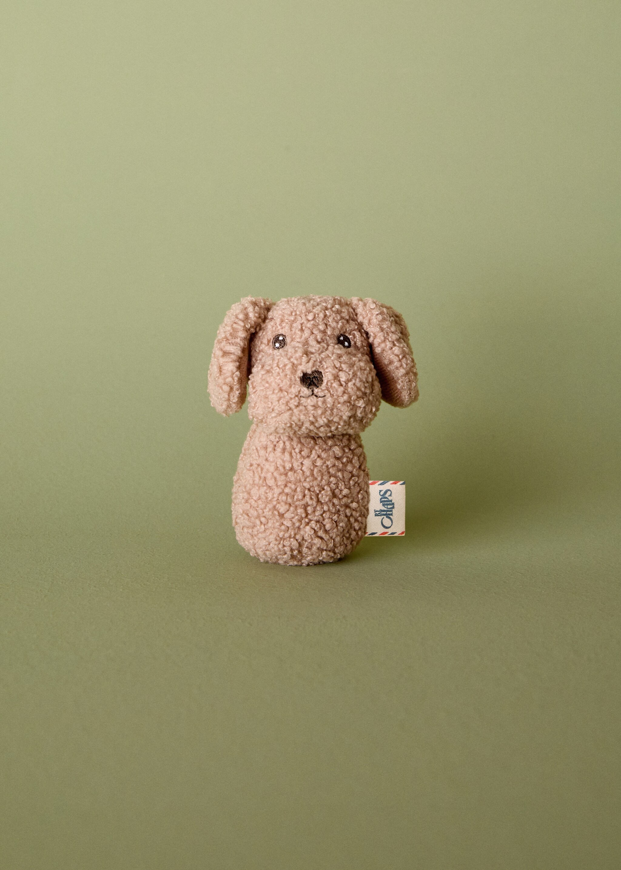 Rassel Hund Lionel - Allgemeine Ansicht