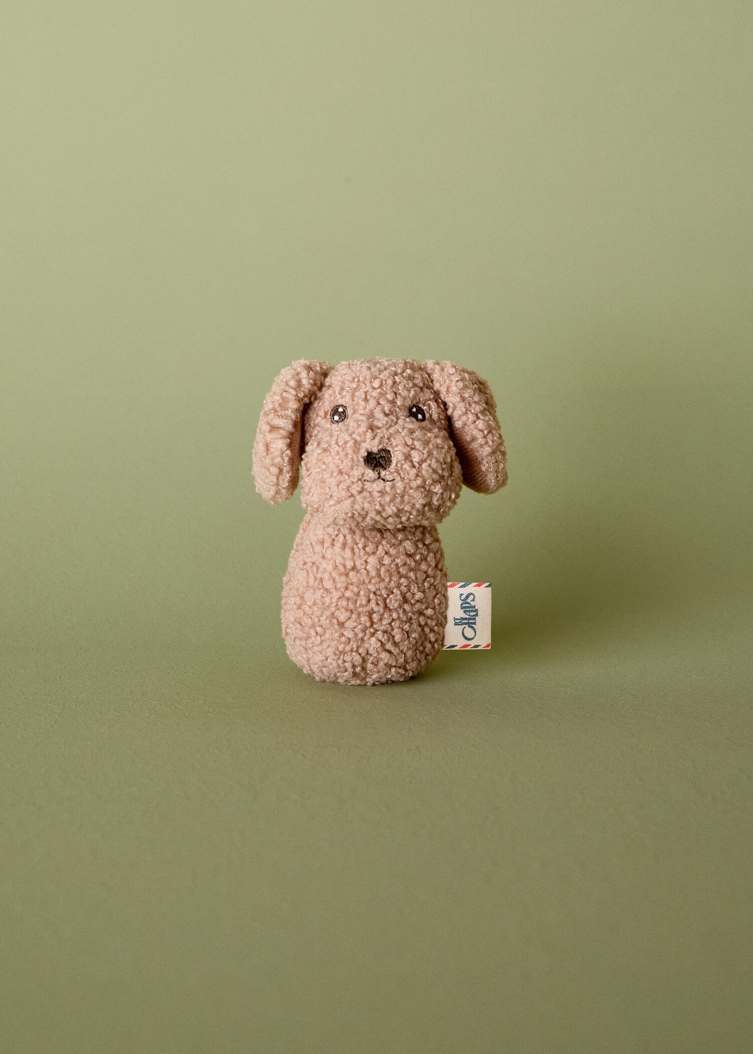 Rassel Hund Lionel - Allgemeine Ansicht