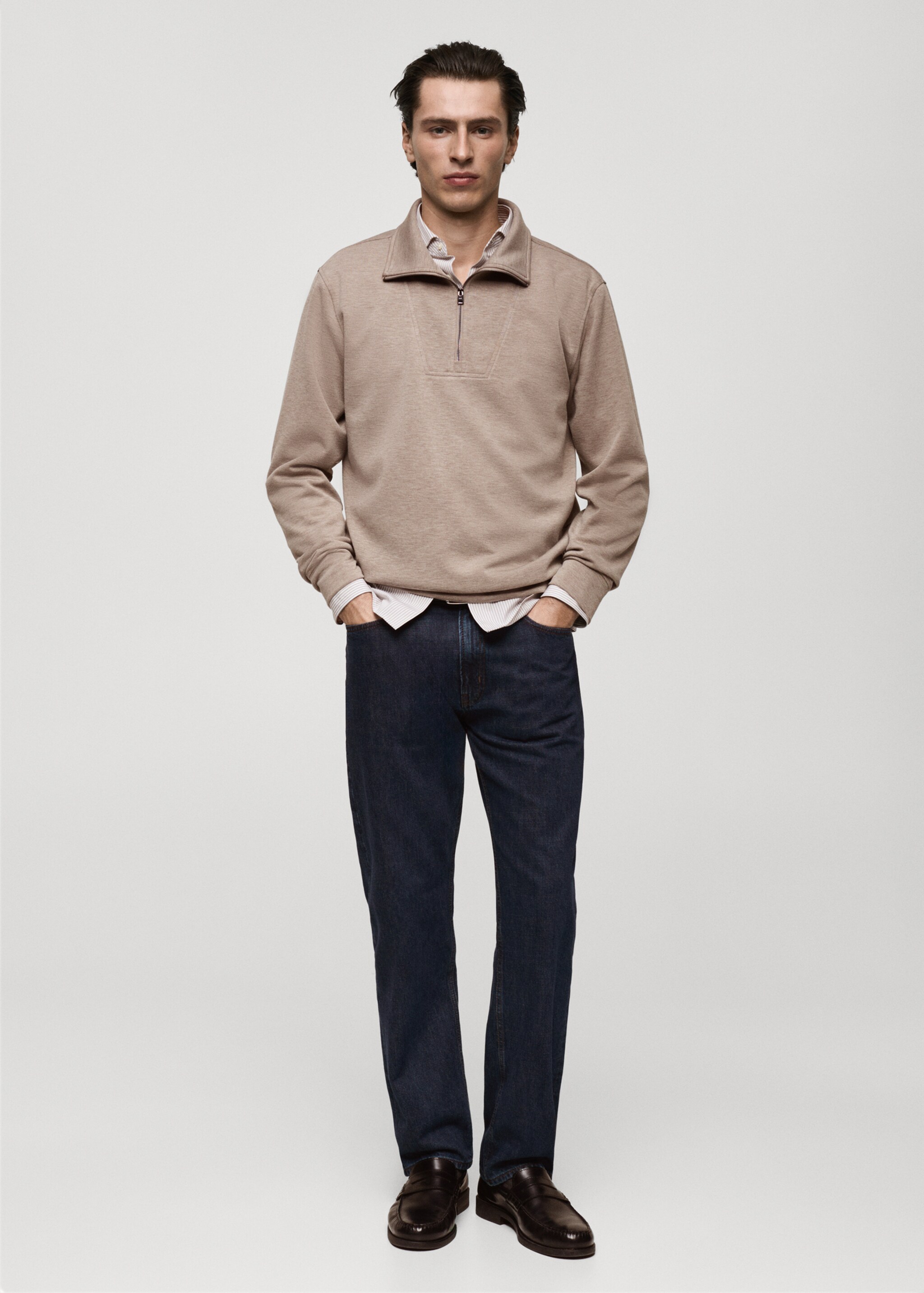 Regular-fit zip-neck sweatshirt - General plane