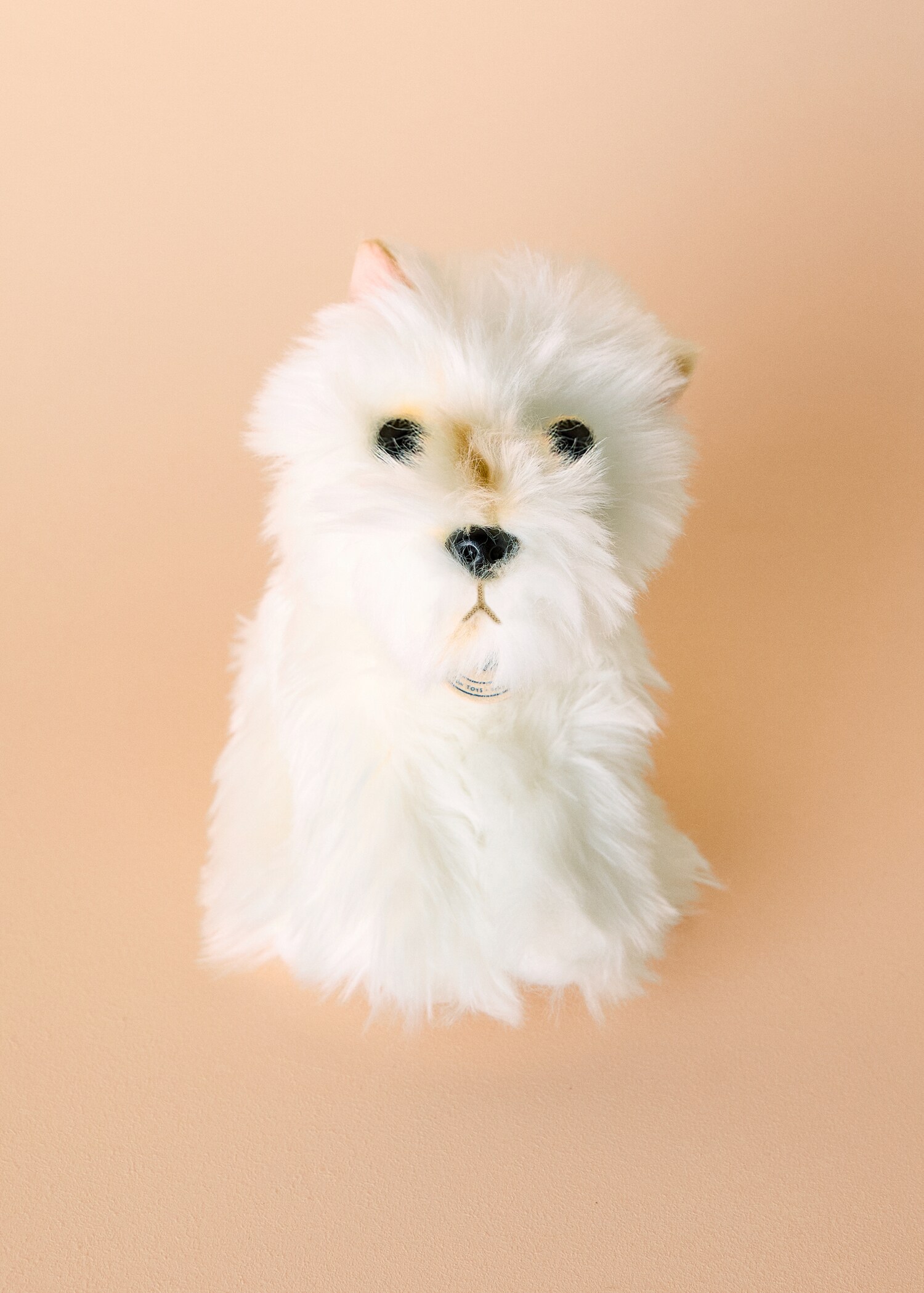 Peluche cane Timothy - Piano generale