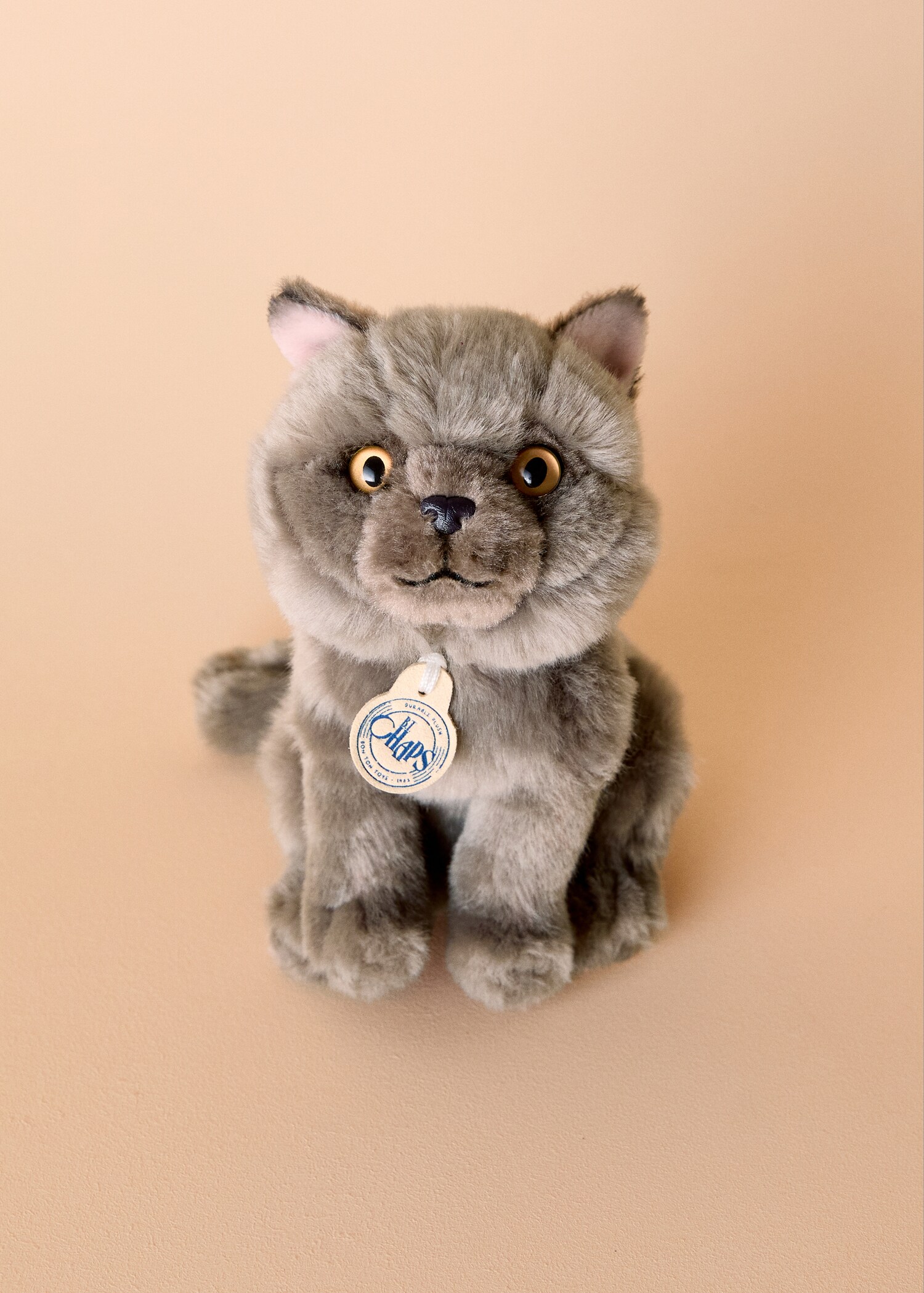 Freddy plush cat - General plane