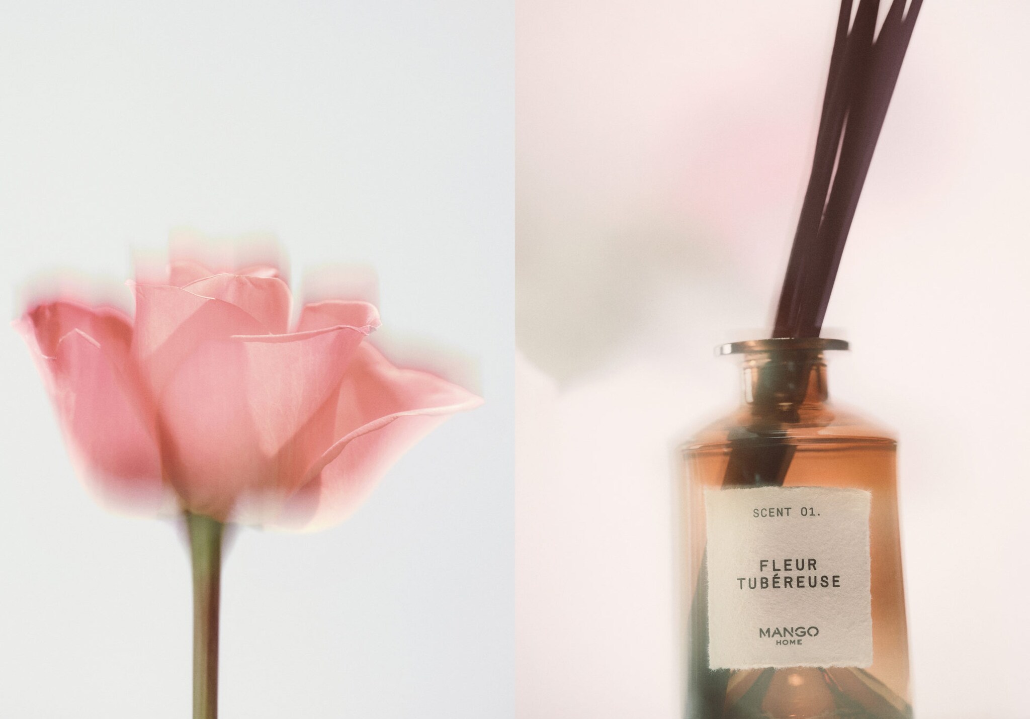 FLEUR TUBÉROSE mikado diffuser 200 ml - Panoramic plane
