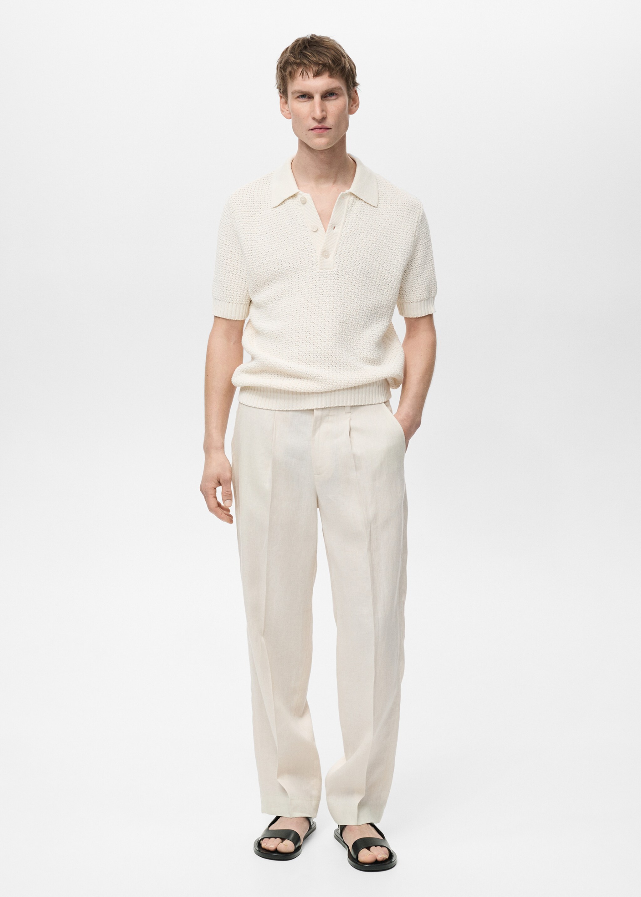 100% linen pleated trousers - General plane