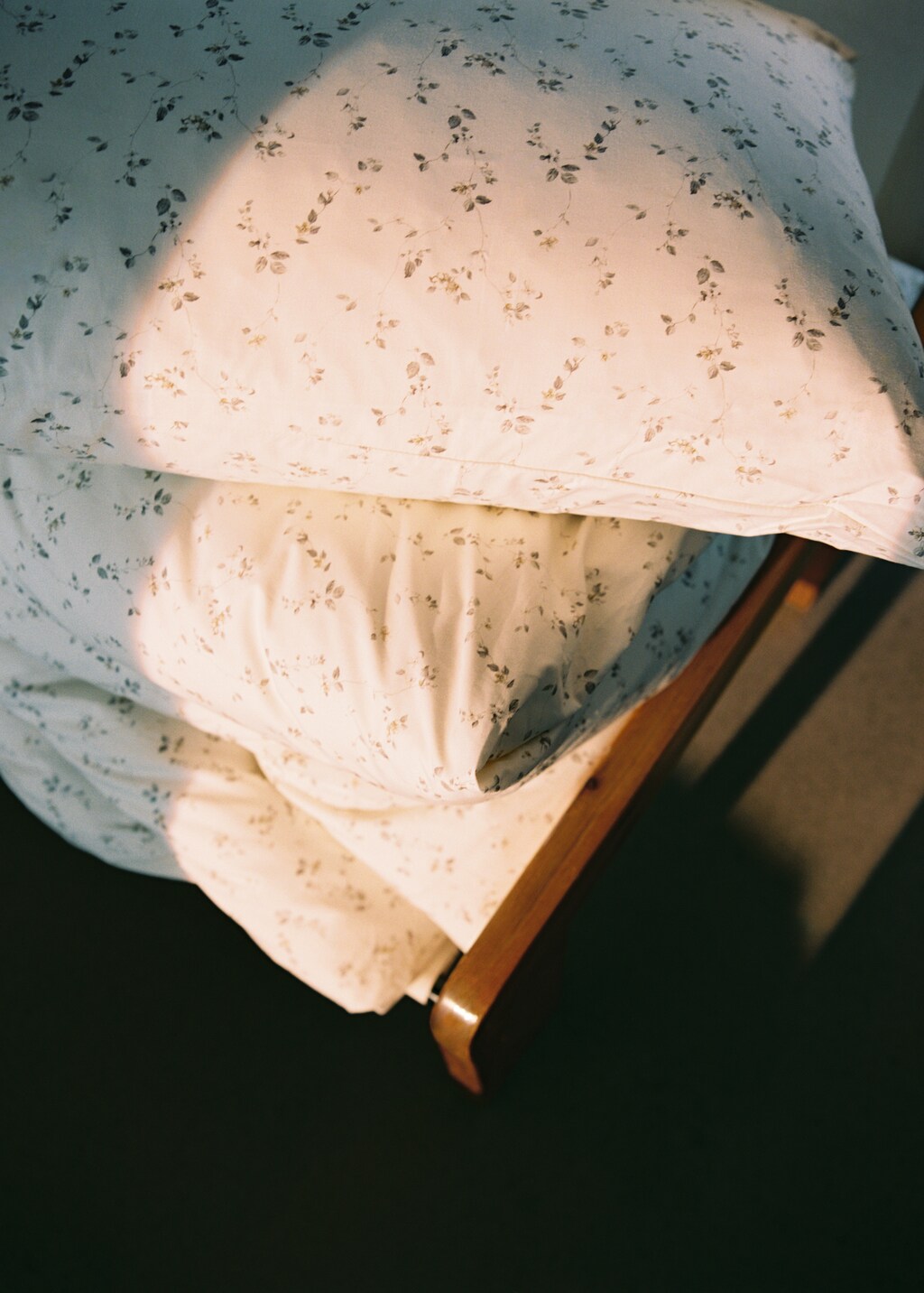 Two percale cotton floral pillowcases 50x75 cm