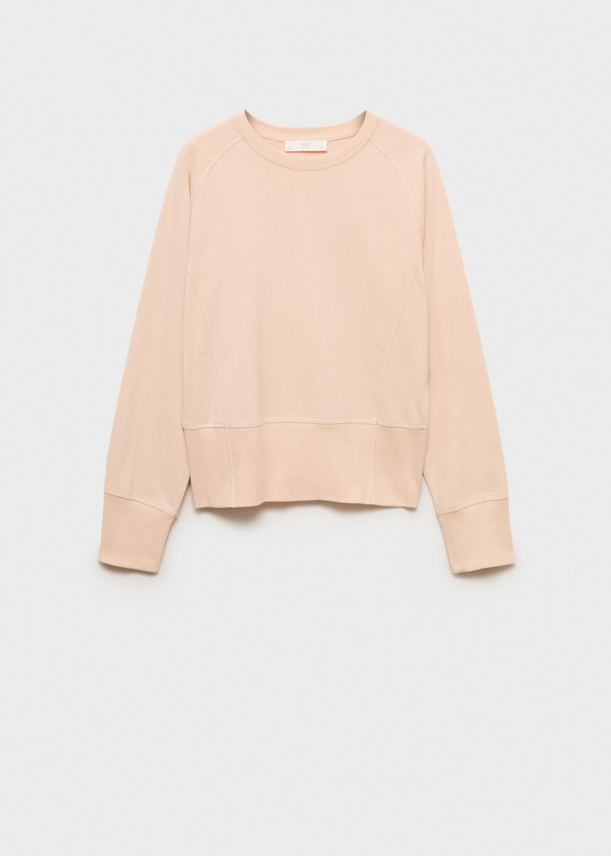 Cotton sweatshirt with soft finish - Article without model