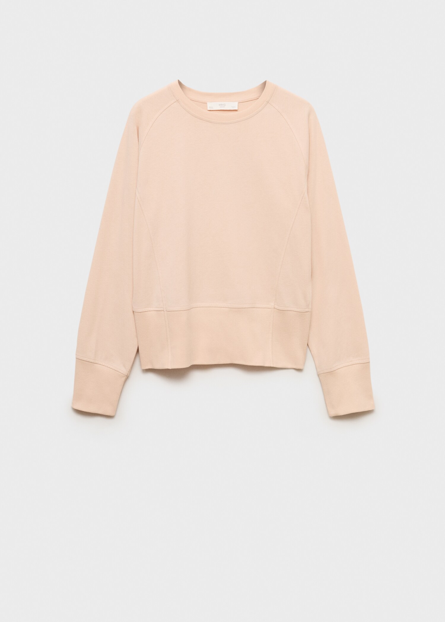 Cotton sweatshirt with soft finish - Article without model